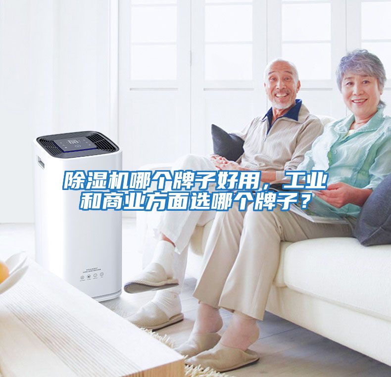 除濕機哪個牌子好用，工業(yè)和商業(yè)方面選哪個牌子？