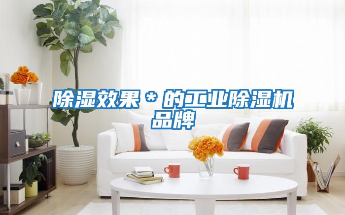 除濕效果＊的工業除濕機品牌
