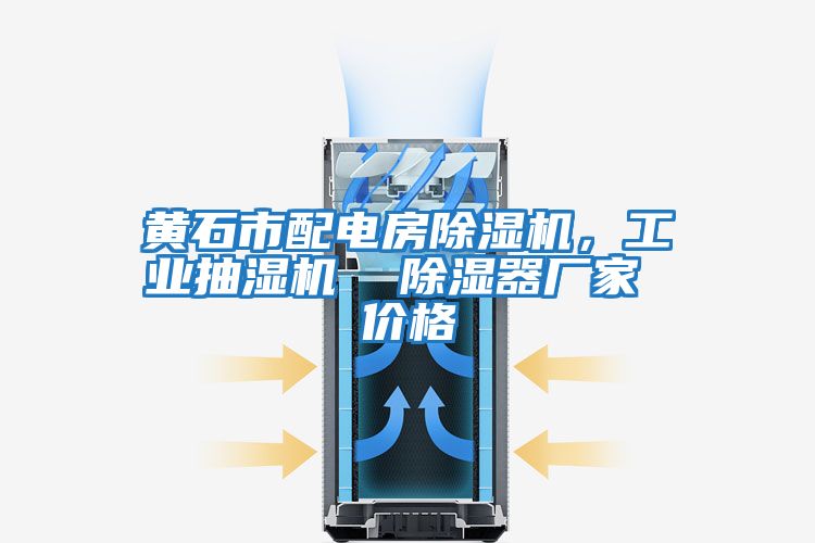 黃石市配電房除濕機(jī)，工業(yè)抽濕機(jī)  除濕器廠家 價(jià)格