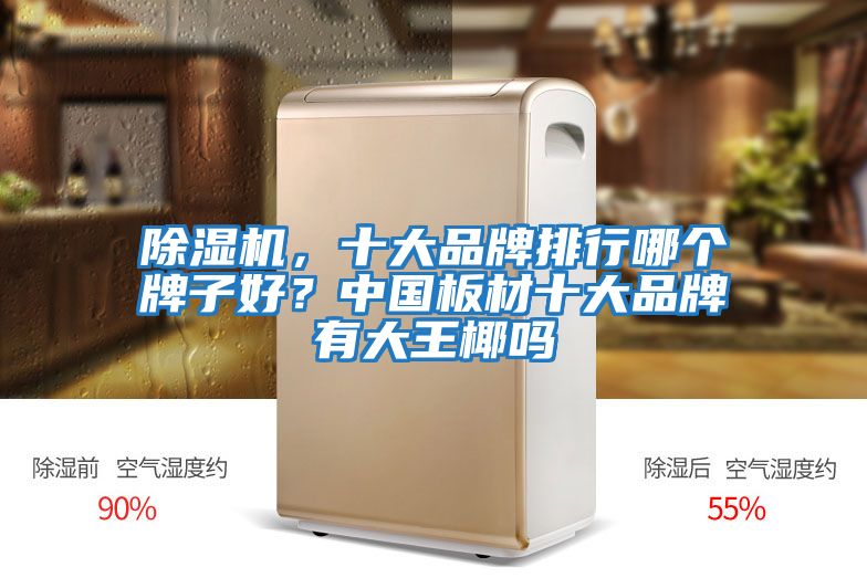 除濕機(jī)，十大品牌排行哪個(gè)牌子好？中國板材十大品牌有大王椰嗎