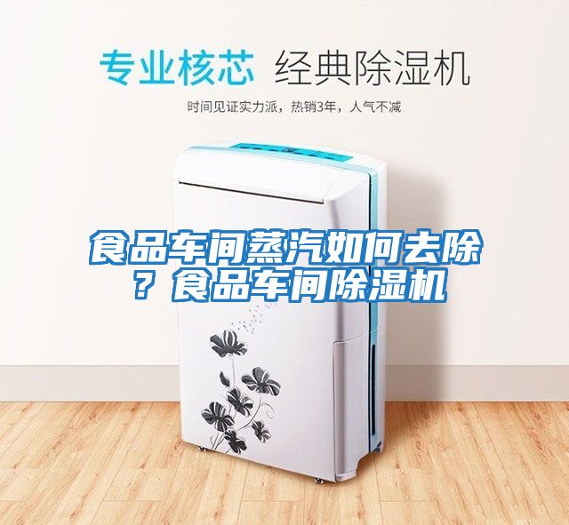 食品車間蒸汽如何去除？食品車間除濕機