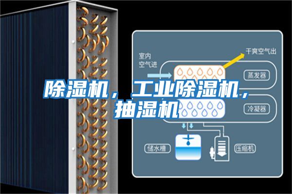 除濕機，工業除濕機，抽濕機