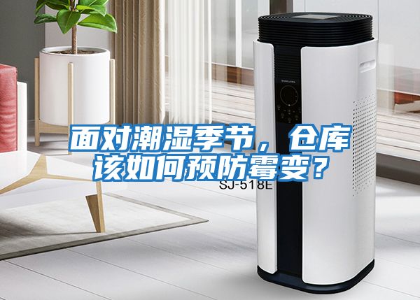面對潮濕季節(jié)，倉庫該如何預(yù)防霉變？
