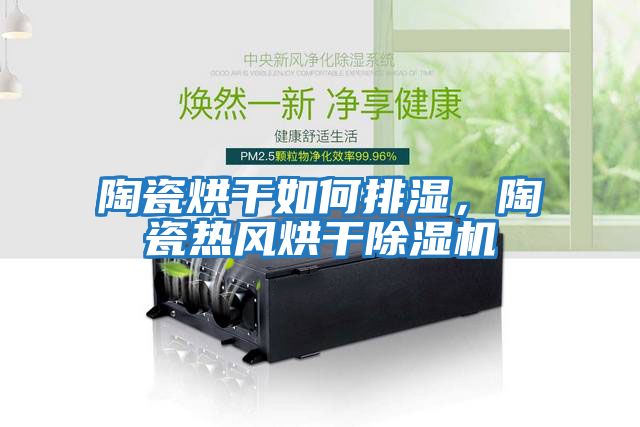 陶瓷烘干如何排濕，陶瓷熱風(fēng)烘干除濕機(jī)