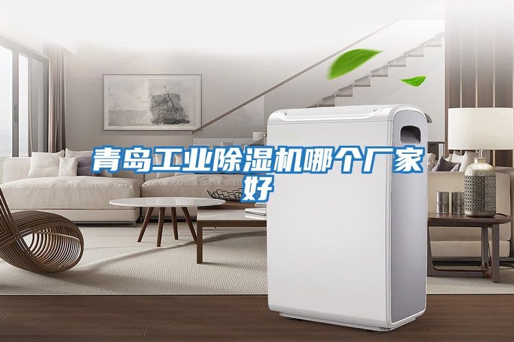 青島工業(yè)除濕機(jī)哪個(gè)廠(chǎng)家好