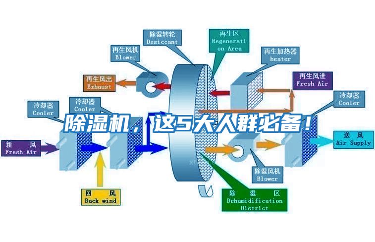 除濕機(jī)，這5大人群必備！