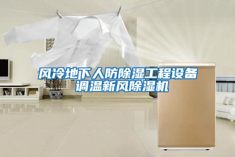 風冷地下人防除濕工程設(shè)備 調(diào)溫新風除濕機
