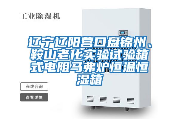 遼寧遼陽營口盤錦州、鞍山老化實驗試驗箱式電阻馬弗爐恒溫恒濕箱