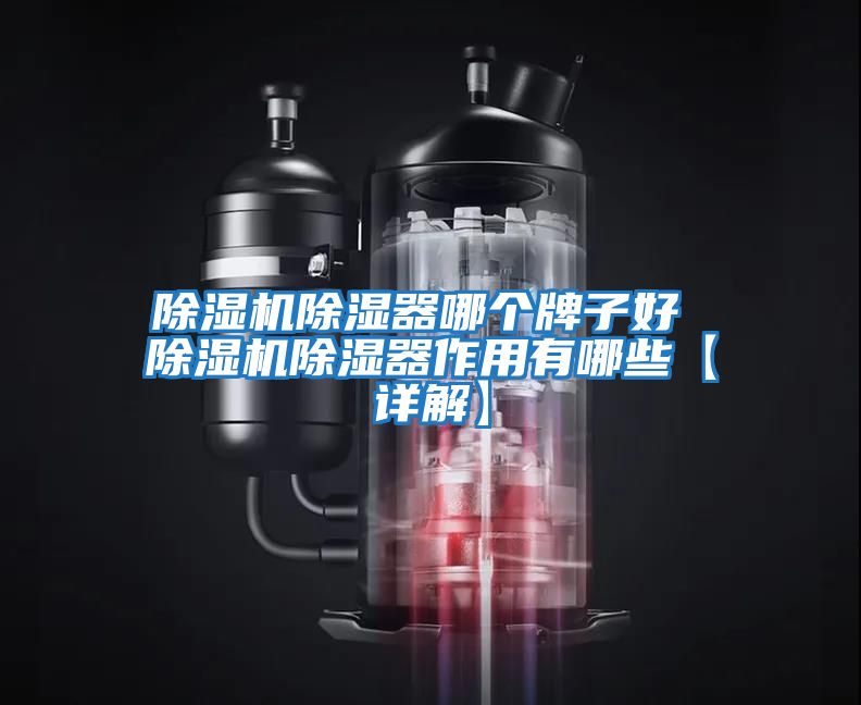 除濕機(jī)除濕器哪個牌子好 除濕機(jī)除濕器作用有哪些【詳解】