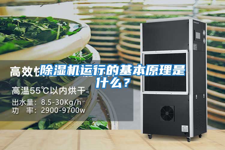 除濕機運行的基本原理是什么？