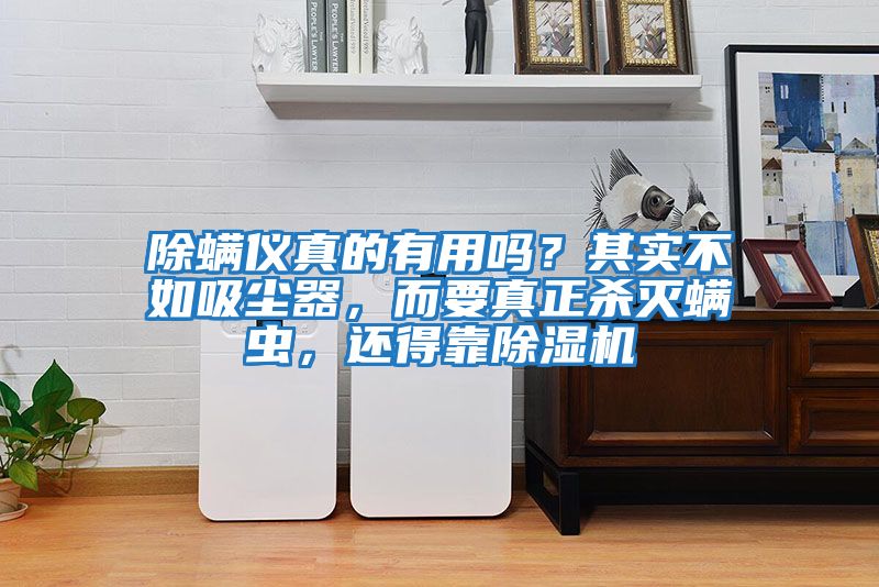 除螨儀真的有用嗎？其實不如吸塵器，而要真正殺滅螨蟲，還得靠除濕機