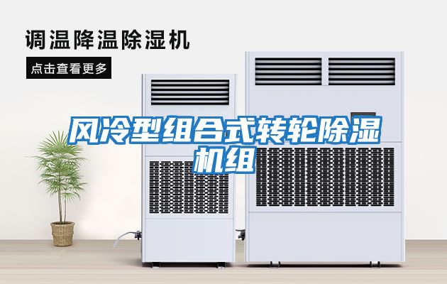 風冷型組合式轉(zhuǎn)輪除濕機組