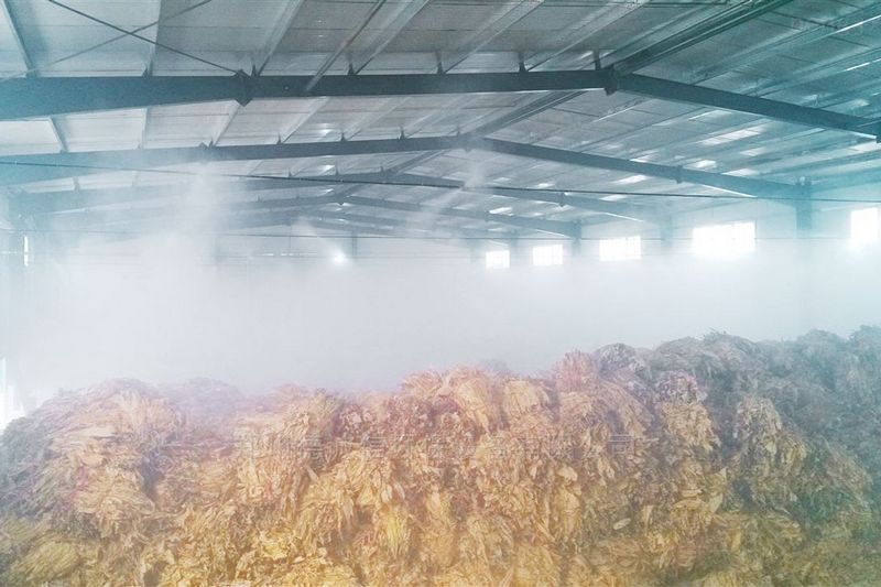提升煙葉加工質(zhì)量，高效回潮很重要 煙葉除濕機(jī)