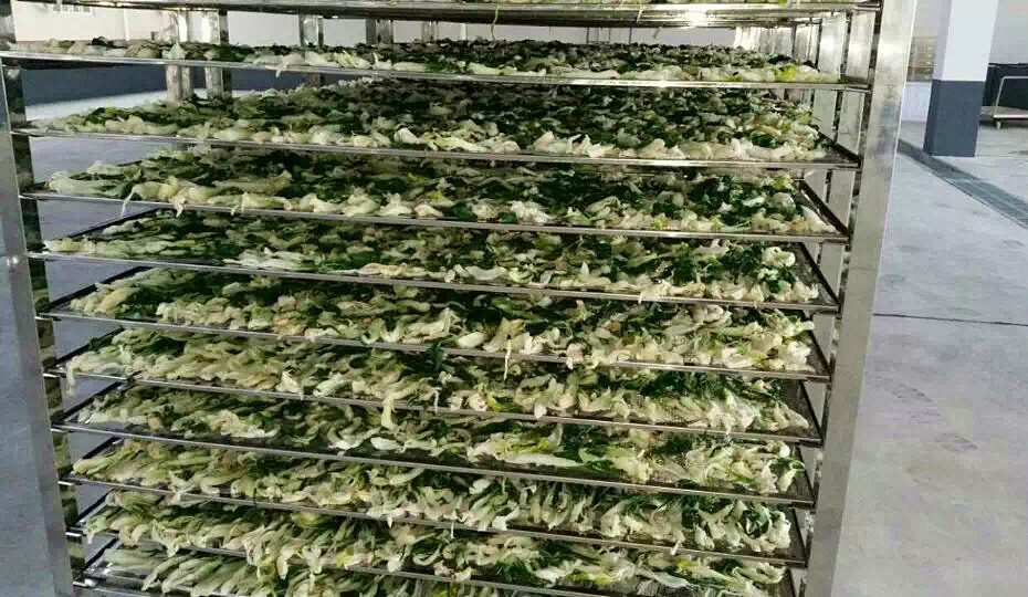 菜干需求一直都很大，蔬菜烘干機很有市場